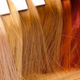 Illustration for article titled Some Choice Excerpts from the WSJ's Inexplicable 1,500 Word Essay on Hair Dye